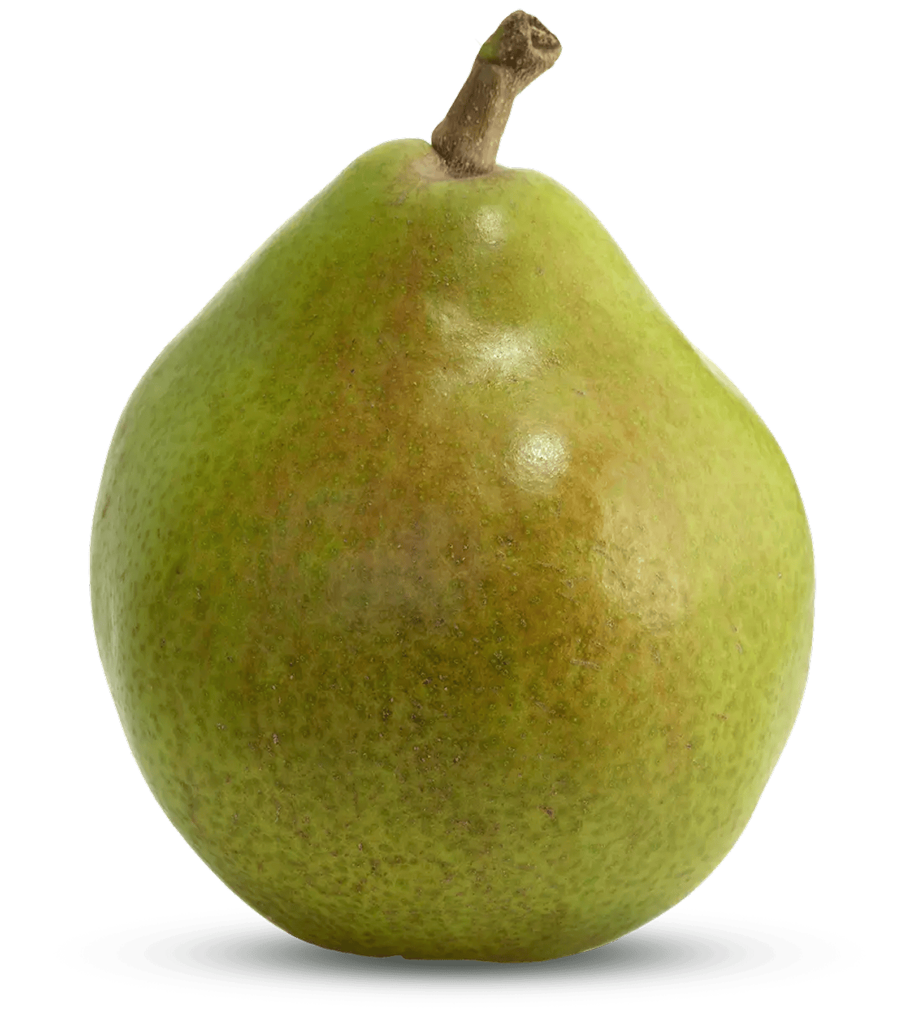 Round, plump Comice pear on white with smooth green skin lightly speckled, short upright stem and gentle curves emphasizing its shape.