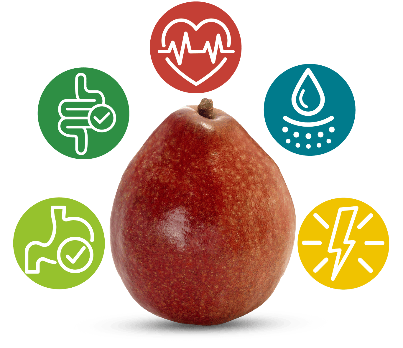 Pear graphic surrounded by health benefit icons and text, highlighting nutrition facts and wellness advantages in a clean layout.
