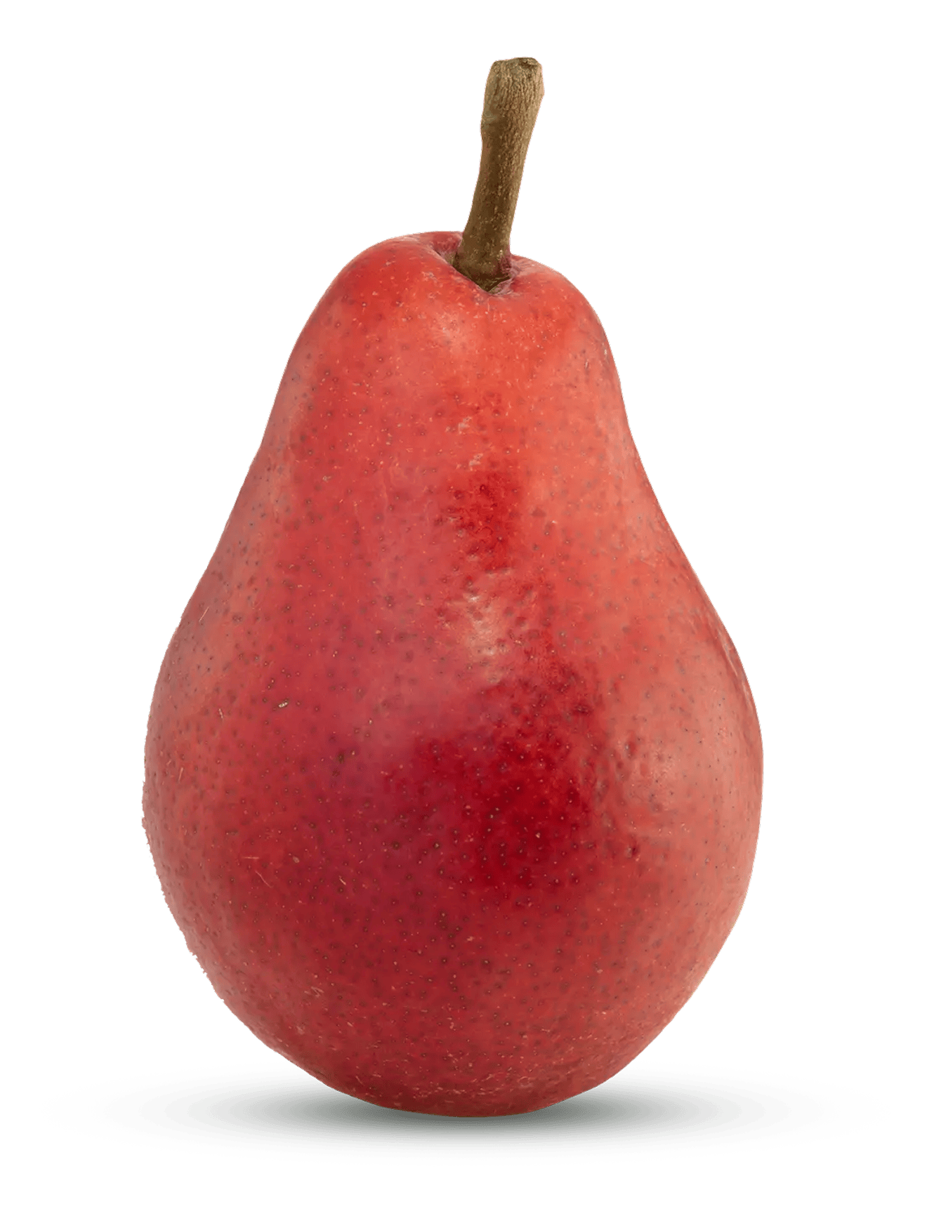 Whole Starkrimson red pear with glossy skin standing on white background.