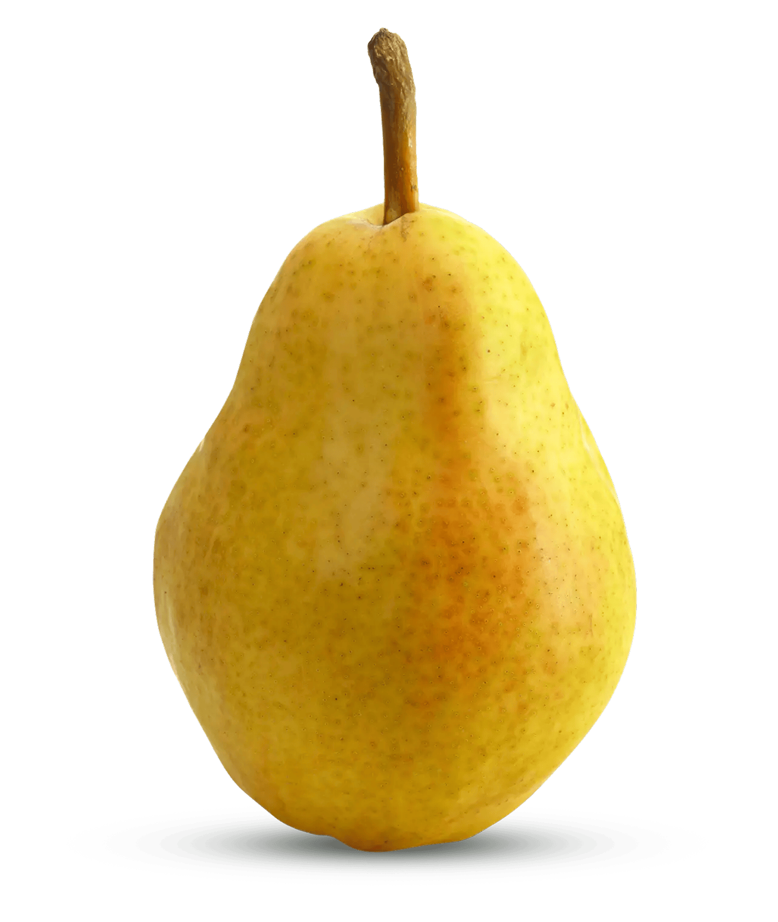 Yellow Bartlett pear with smooth golden skin upright on neutral white background.