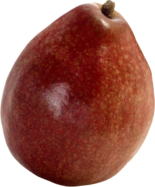 Red Anjou pear isolated on white, glossy red skin with subtle speckles, upright with short stem and softly rounded shoulders.