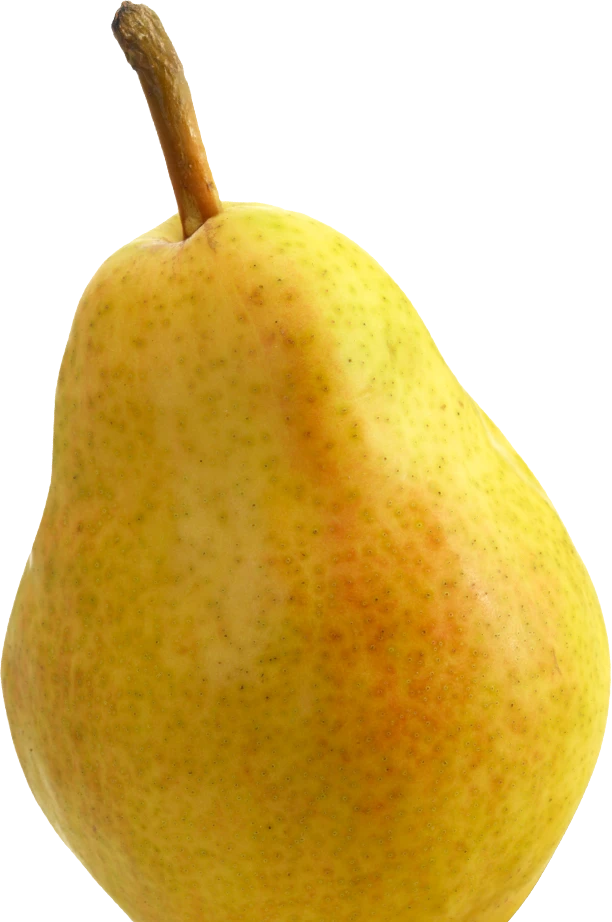 Yellow Bartlett pear upright on white with warm blush and fine speckles, classic pear shape and a short tapered stem.