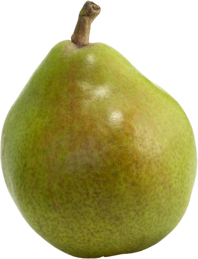 Comice pear on white background with round, plump body and smooth green skin brushed with russet, short upright stem clearly visible.